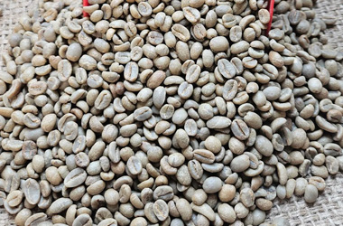 Home Exporter in Ethiopia